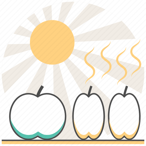 Apple, concept, cooking, dehydration, food, fruit icon - Download on Iconfinder