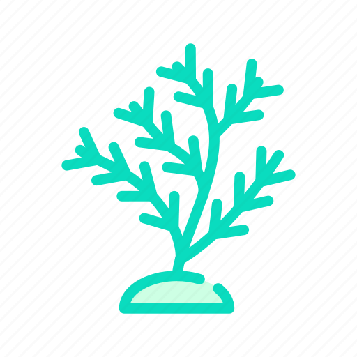 Aquatic, coral, flora, natural, underwater, water icon - Download on Iconfinder