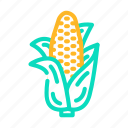 corn, plant, maize, sweet, cob, white