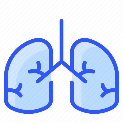 Anatomy, human, lung, medical, organ icon - Download on Iconfinder