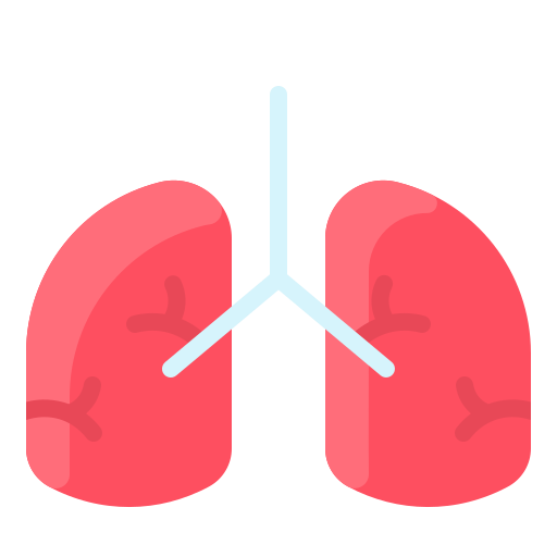Anatomy, human, lung, medical, organ icon - Free download