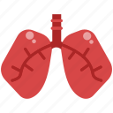disease, infection, lungs, organ