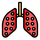 bronchitis, disease, lung, pneumonia