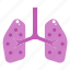 disease, infection, lungs, organ 
