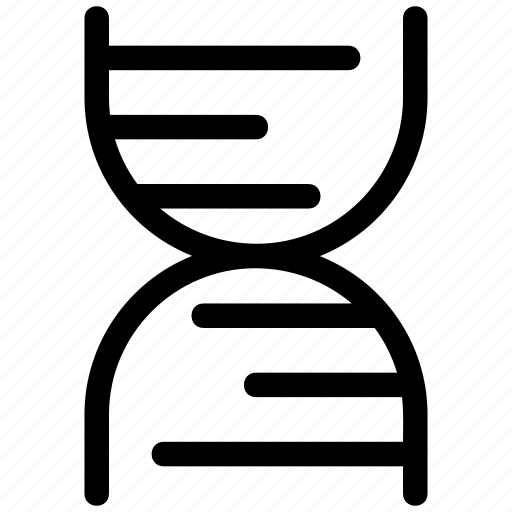Dna, biology, genetics, genome, molecule, structure icon - Download on Iconfinder