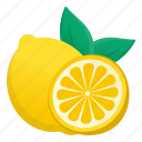 lemon slice, lime slice, citrus, fruit, lemon