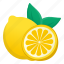 lemon slice, lime slice, citrus, fruit, lemon 