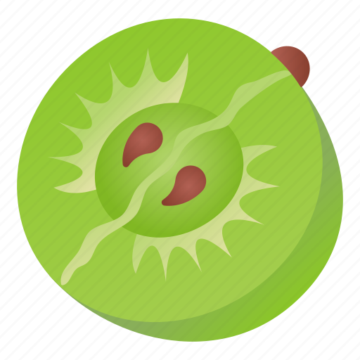 Berry, fruit, indian gooseberry, gooseberry, food icon - Download on Iconfinder