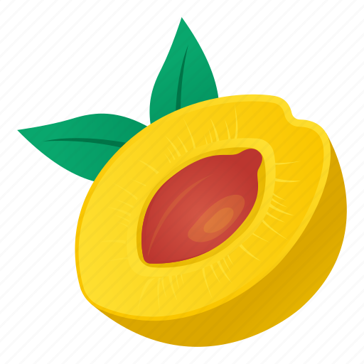 Fruit, food, peach, stone fruit, prune fruit icon - Download on Iconfinder