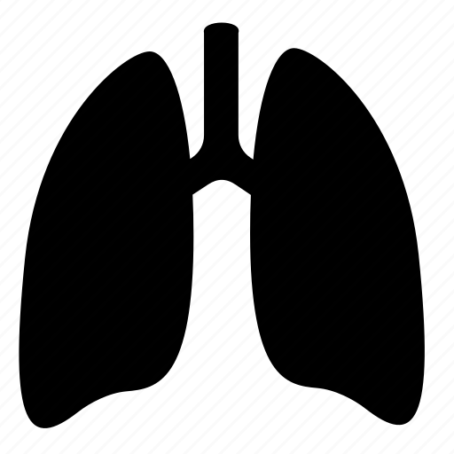 Lungs icon - Download on Iconfinder on Iconfinder