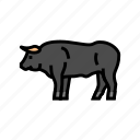 bull, standing, animal, cow, farm, dairy