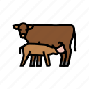 cow, calf, farm, dairy, cattle, milk