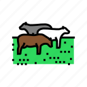 cow, grazing, farm, dairy, cattle, milk