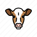 cow, head, farm, dairy, cattle, milk