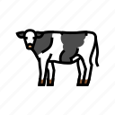 cow, standing, farm, dairy, cattle, milk
