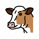 head, cow, animal, farm, dairy, cattle