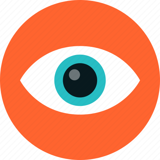 Eye, looking, sight, surveillance, vision, eyeball, eyesight icon - Download on Iconfinder