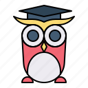animal, bird, graduation hat, owl