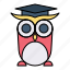 animal, bird, graduation hat, owl 