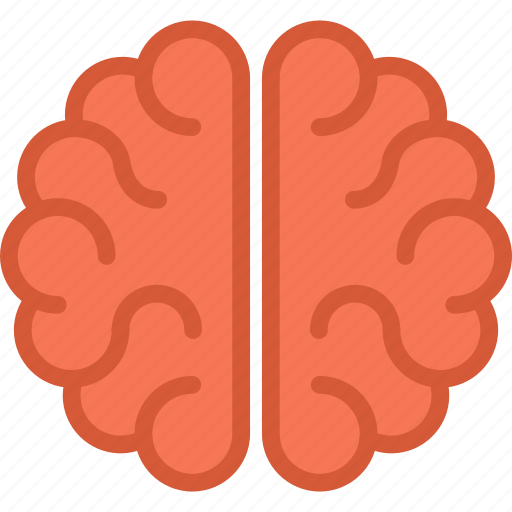 Anatomy, brain, brainstorm, education, idea, intelligence, mind icon - Download on Iconfinder