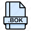 bok, document, extension, file, format 