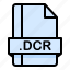 dcr, document, extension, file, format 
