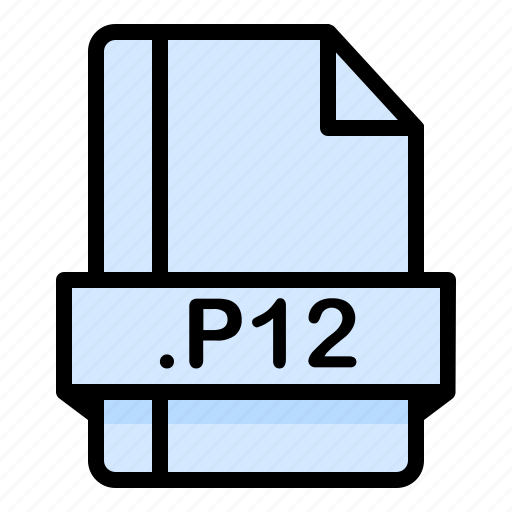 Document, extension, file, format, p12 icon - Download on Iconfinder