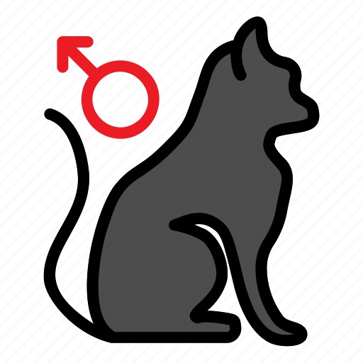 Cat, gender, male, pet, shop icon - Download on Iconfinder