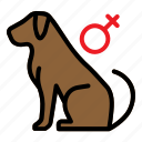 dog, female, gender, pet, shop