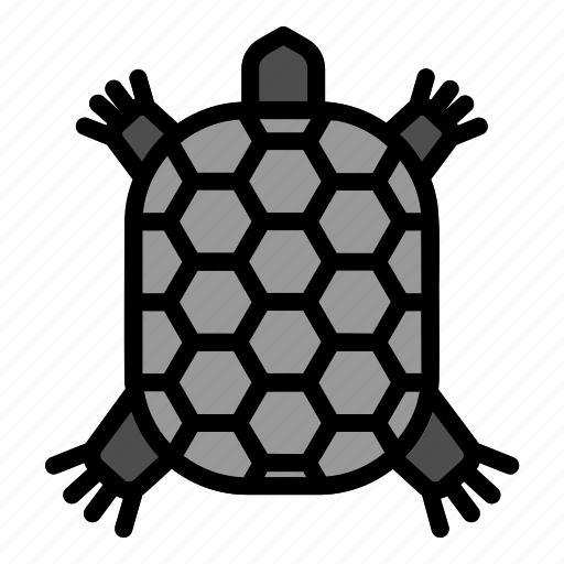 Pet, reptil, shop, turtle icon - Download on Iconfinder