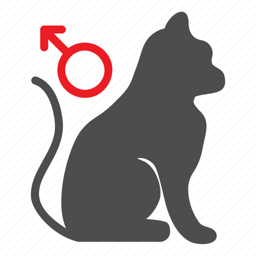 Cat, gender, male, pet, shop icon - Download on Iconfinder