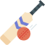 bat, cricket, sports, ball, sport, equipment, and, competition 