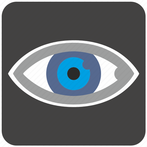 Care, diagnosis, eye, eyesight, organ, vision, view icon - Download on Iconfinder