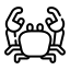 mud, crab, crustacean, ocean, sea 