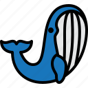 whale, hodl, holder, cryptocurrency, trade, marine, mammal, blue, cetacean