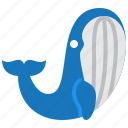whale, hodl, holder, cryptocurrency, trade, marine, mammal, blue, cetacean