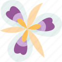 mariposa, flower, national, flora, cuba