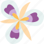 mariposa, flower, national, flora, cuba 