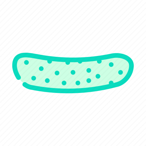 Cucumber, pimples, slice, vegetable, green, white icon - Download on Iconfinder