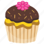 chocolate cupcake, chocolate muffin, cupcake, small cake, sweet cake 