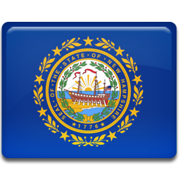 New, hampshire, flag icon - Free download on Iconfinder
