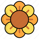 sunflower, botanical, blossom, petals, flower, nature