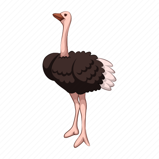 Animal, cute, cartoon, wildlife, mascot, ostrich, africa icon - Download on Iconfinder