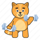 cat, dumbbell, gym, workout