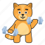 cat, dumbbell, gym, workout 