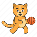 cat, basketball, play, ball