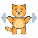 cat, barbell, gym, fitness