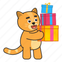 cat, present, gift, animal