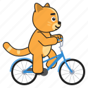 cat, bike, bicycle, ride