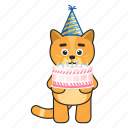 cat, birthday, cake, party
